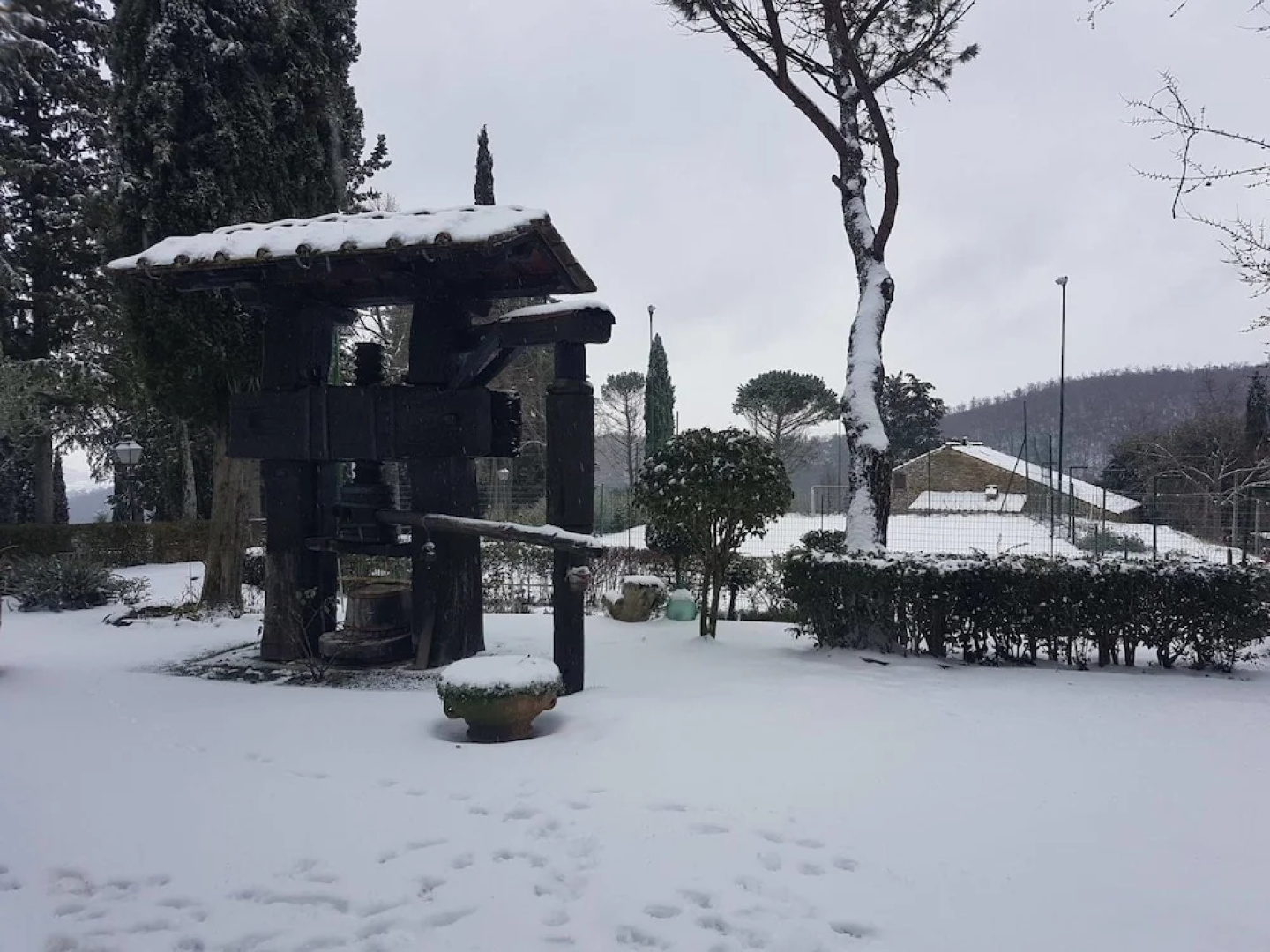 Borgo del Senatore