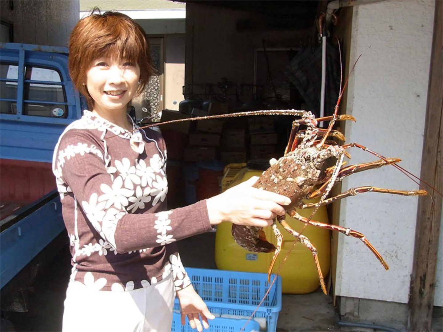 Toushijima Onsen Suzunami