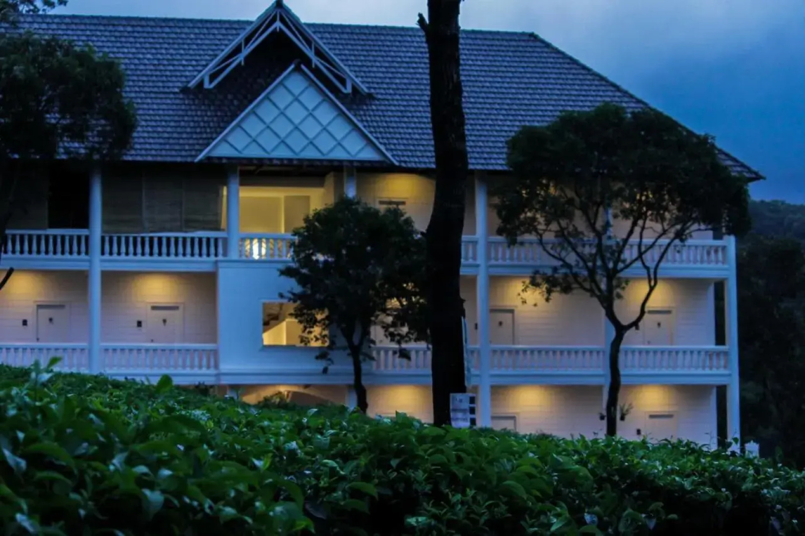 Tea Harvester Munnar