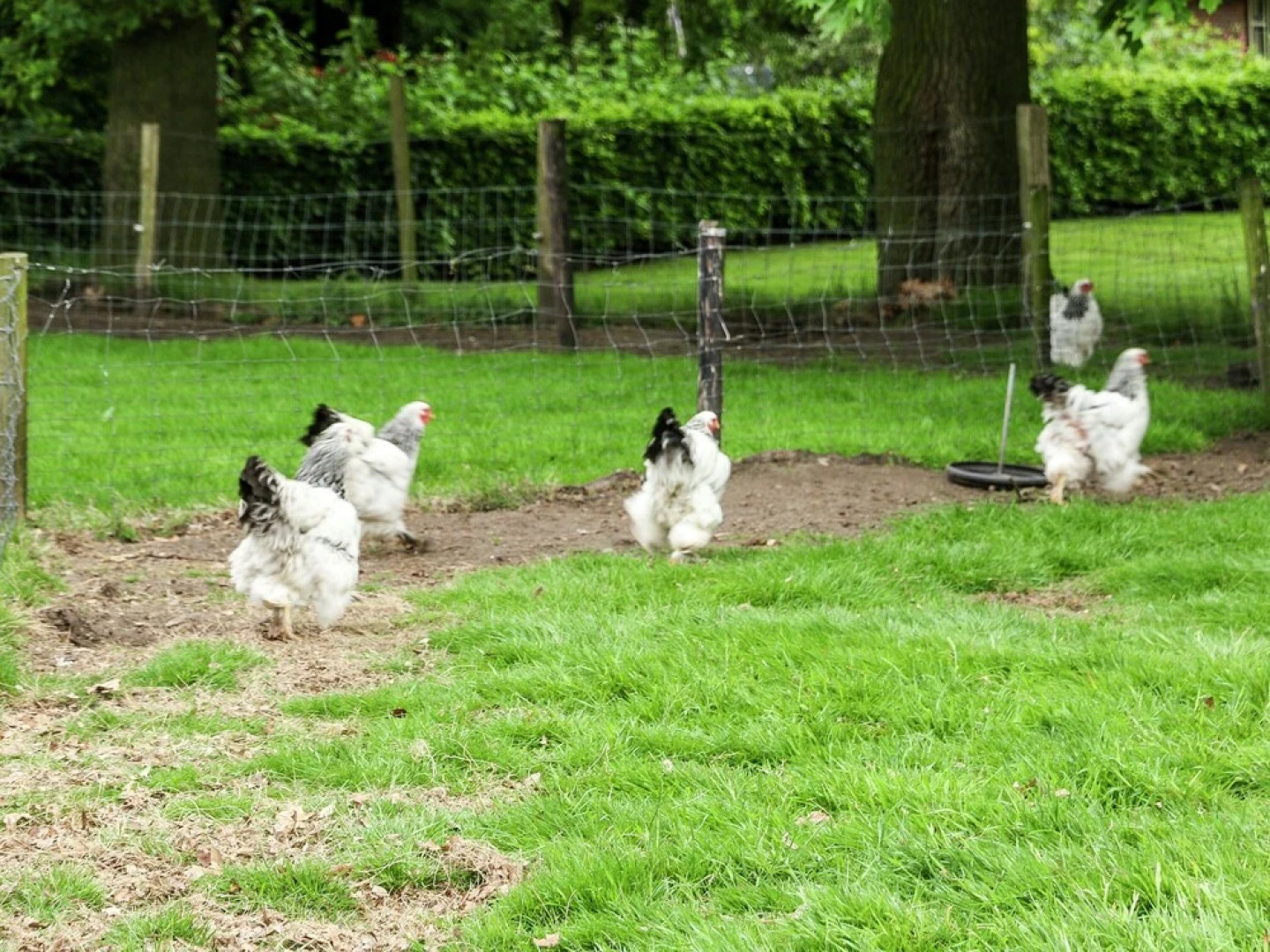 Holiday Bungalow with Sauna, Located on a Pond in Hoge Hexel