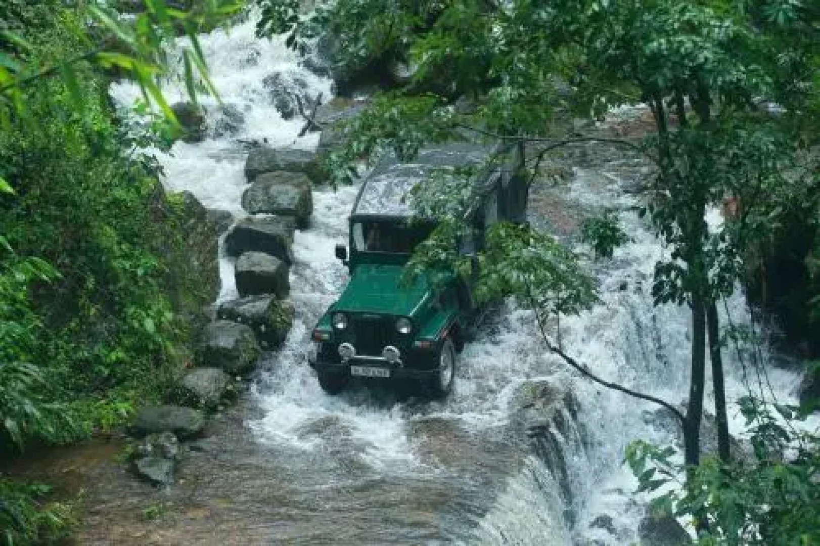 Misty Mountain Experience