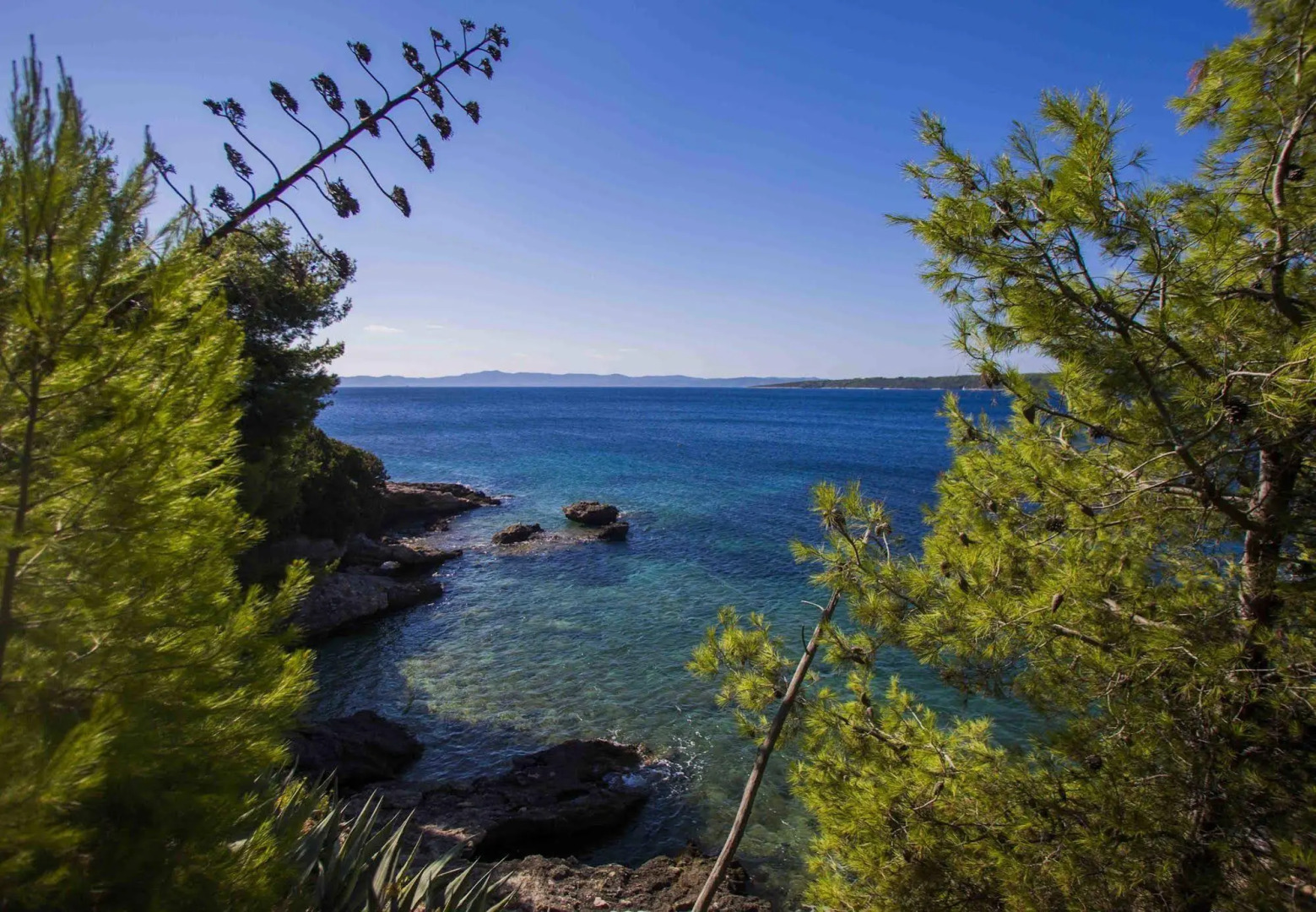 Cast Away - Eco Village