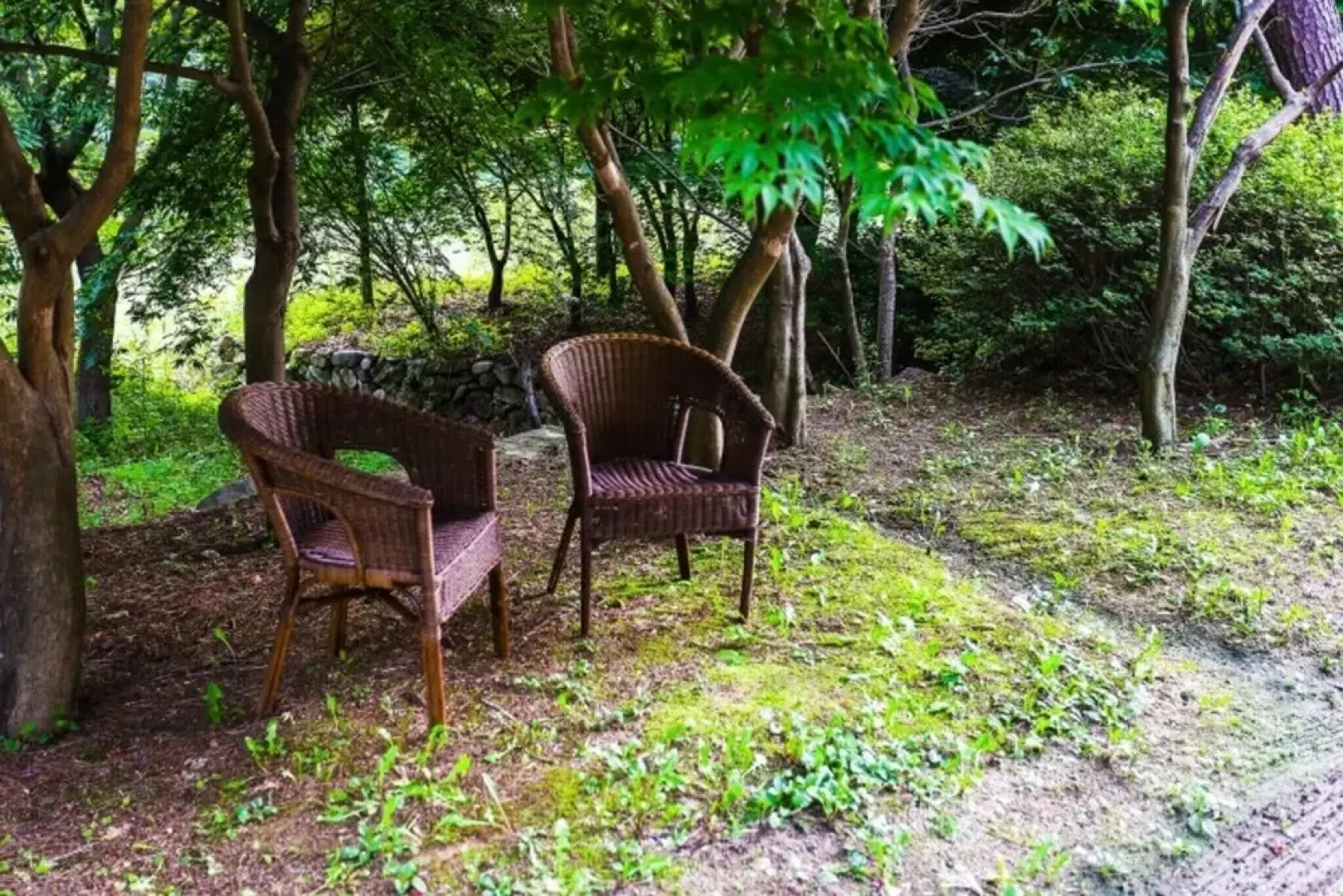 Yangpyeong Log Camp Pension