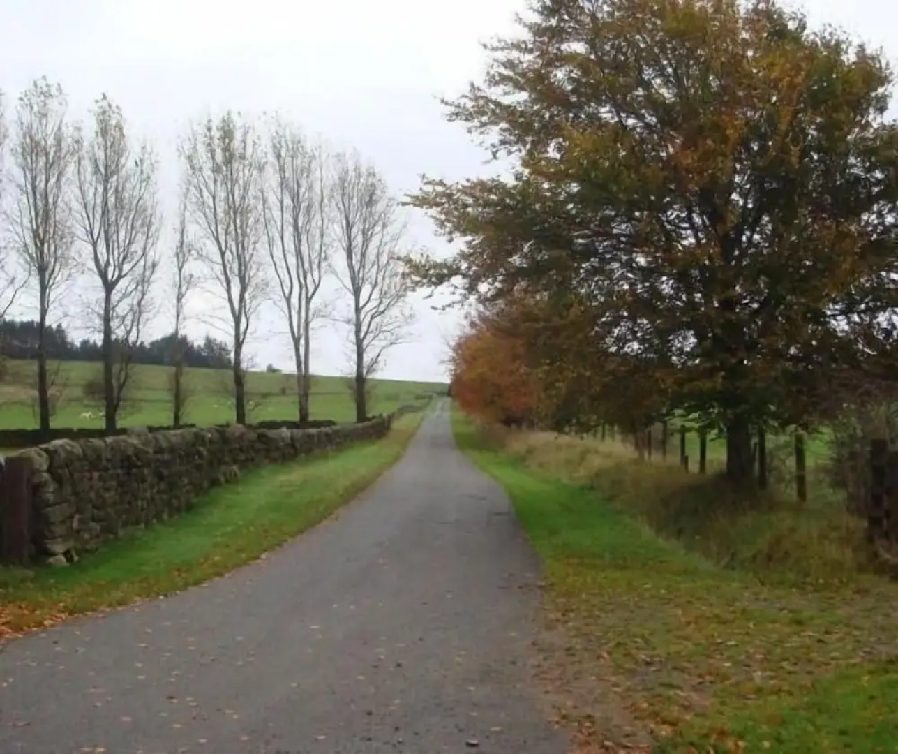 Abbotshaw House - Farm B&B