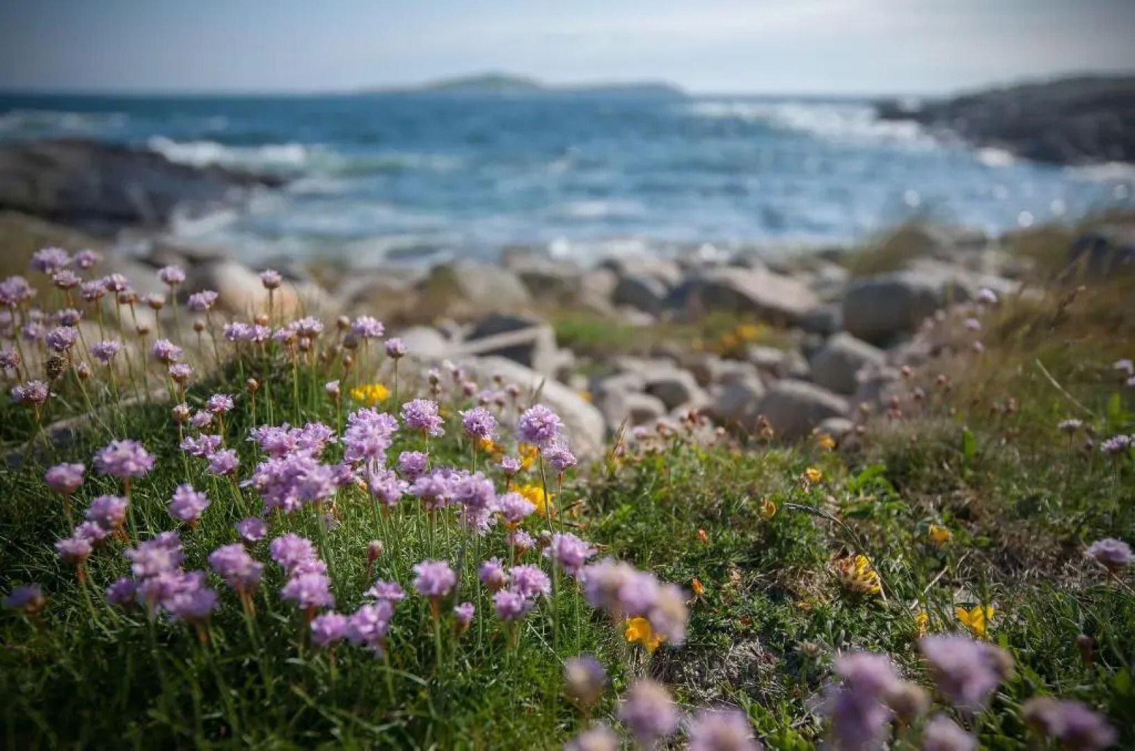 Cottage 215 - Claddaghduff