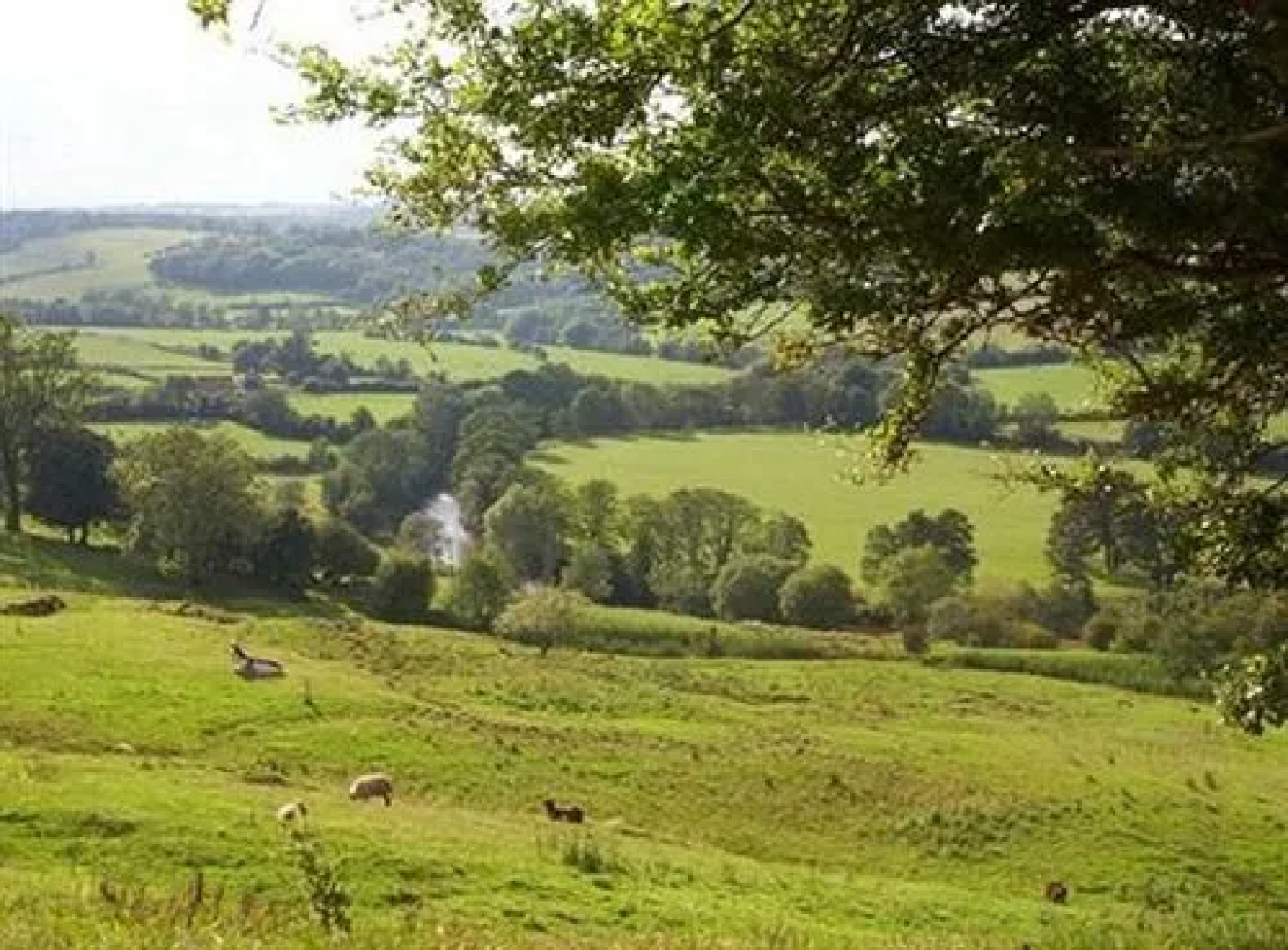 Netherby House Hotel