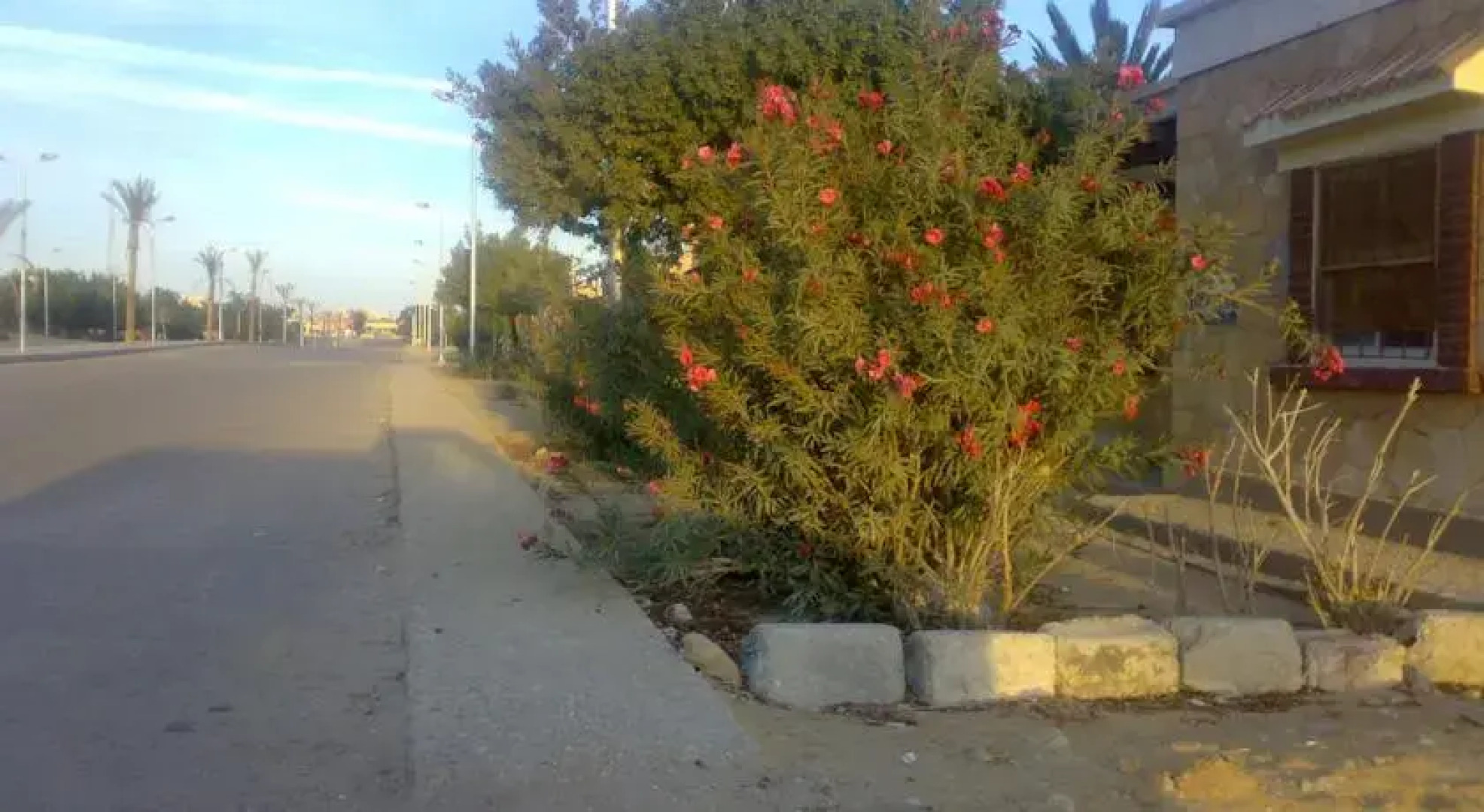 Sudr Beach Inn Chalets