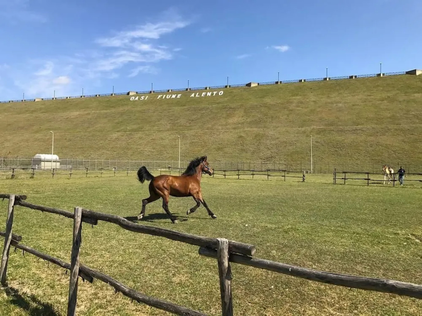 Green House Fiume Alento