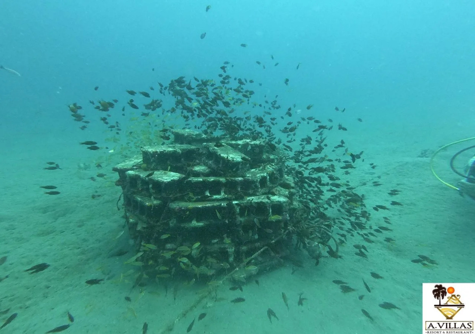 A Villas Resort & Restaurant