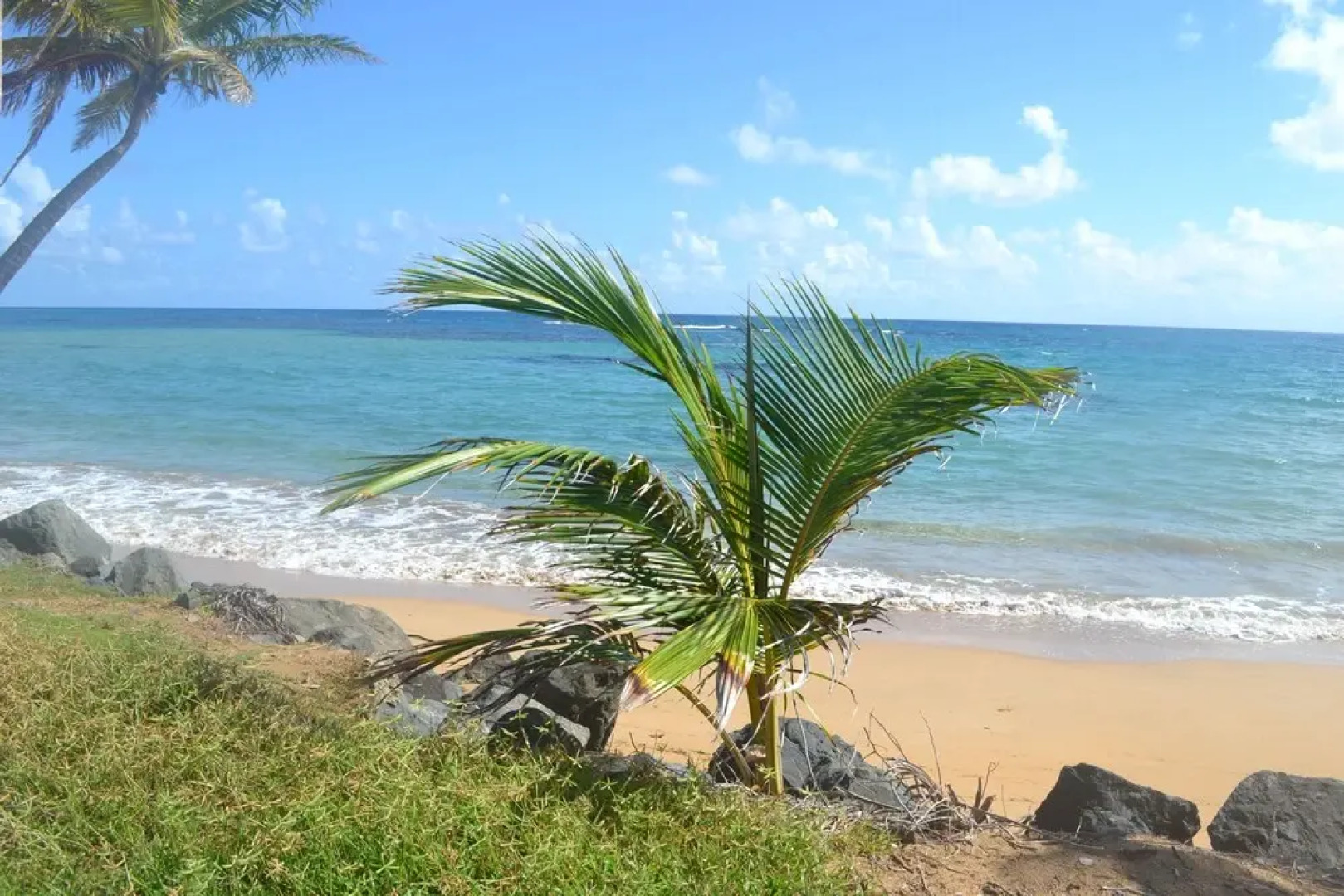 Dream Beach House By Sonsoleá Host