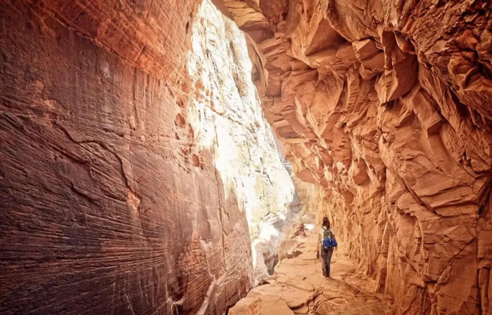 LaFave: Luxury Rentals at Zion