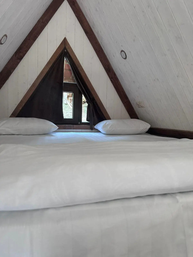 Шале Долина Нарзанов