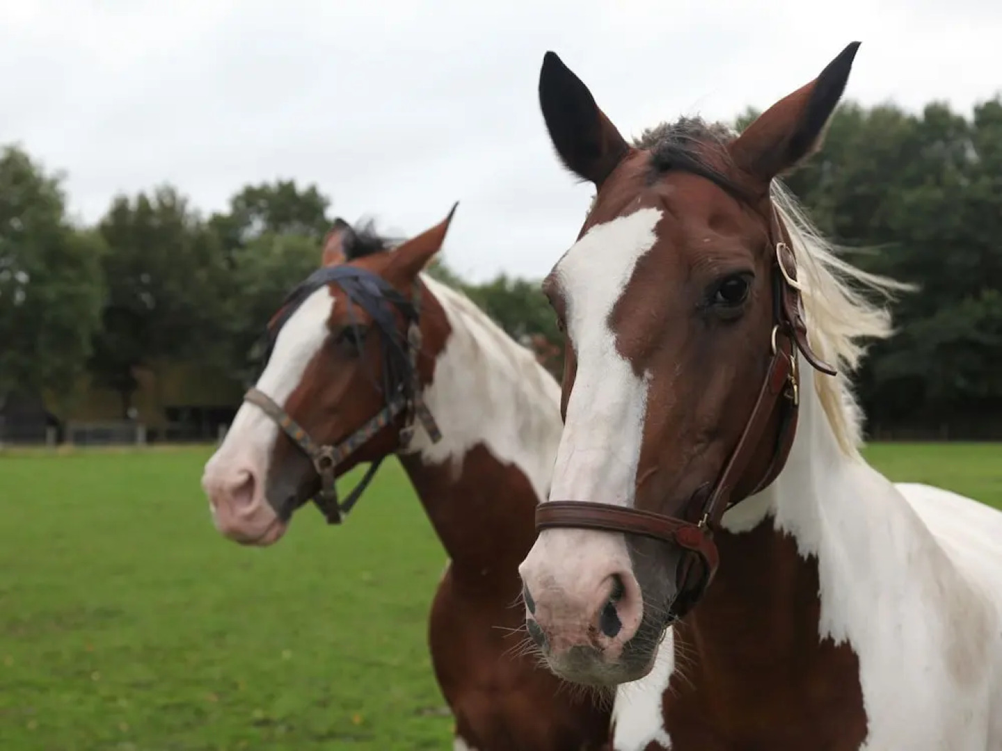 Romantic Villa With a Dishwasher, Near a National Park