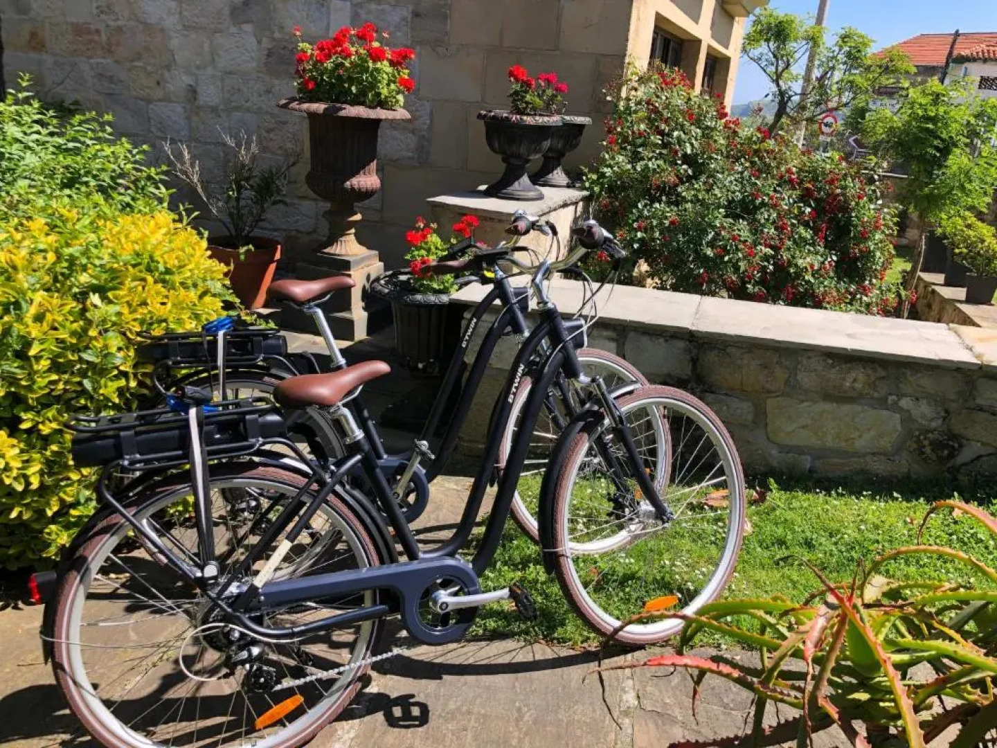 Apartamentos Costa Esmeralda