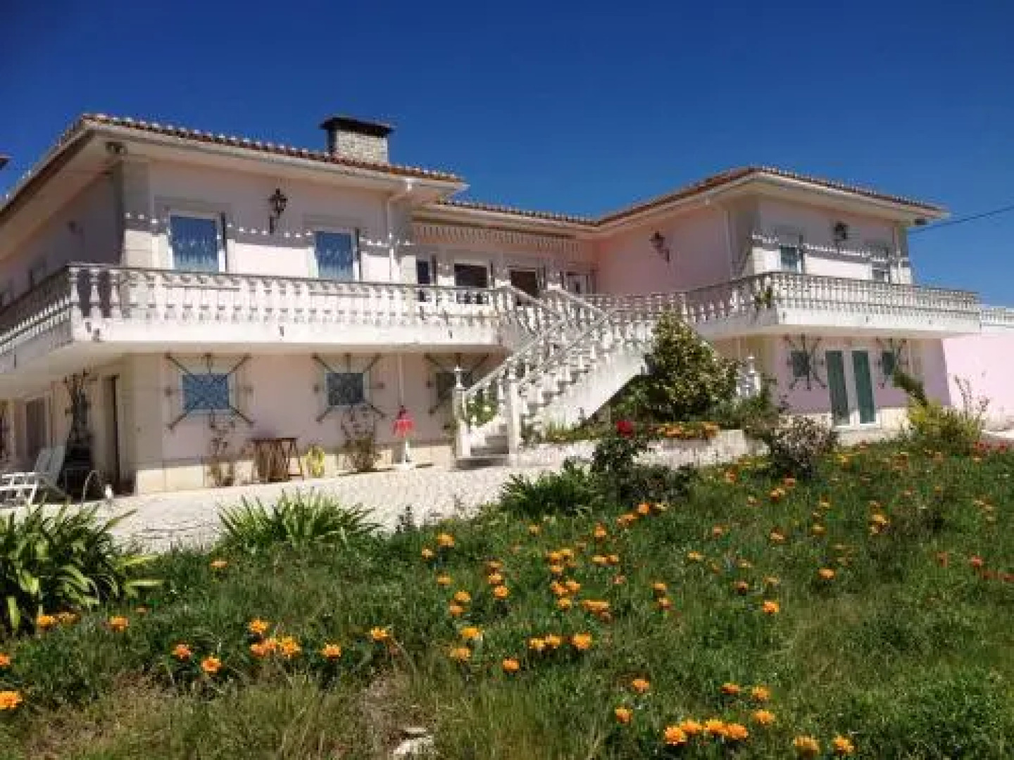 DOMESTIVAL-GOLFINGER