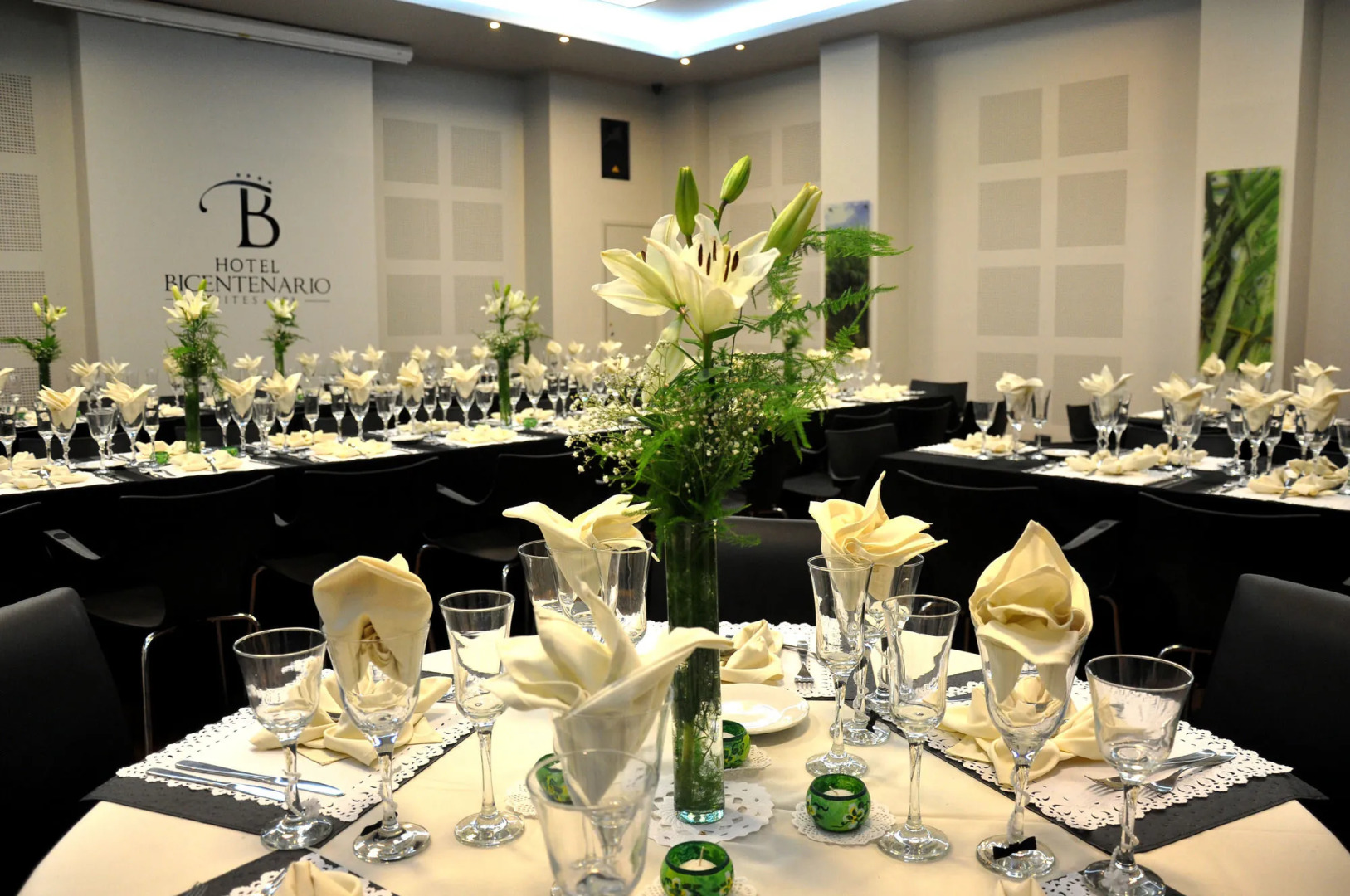 Hotel Bicentenario Suites & Spa