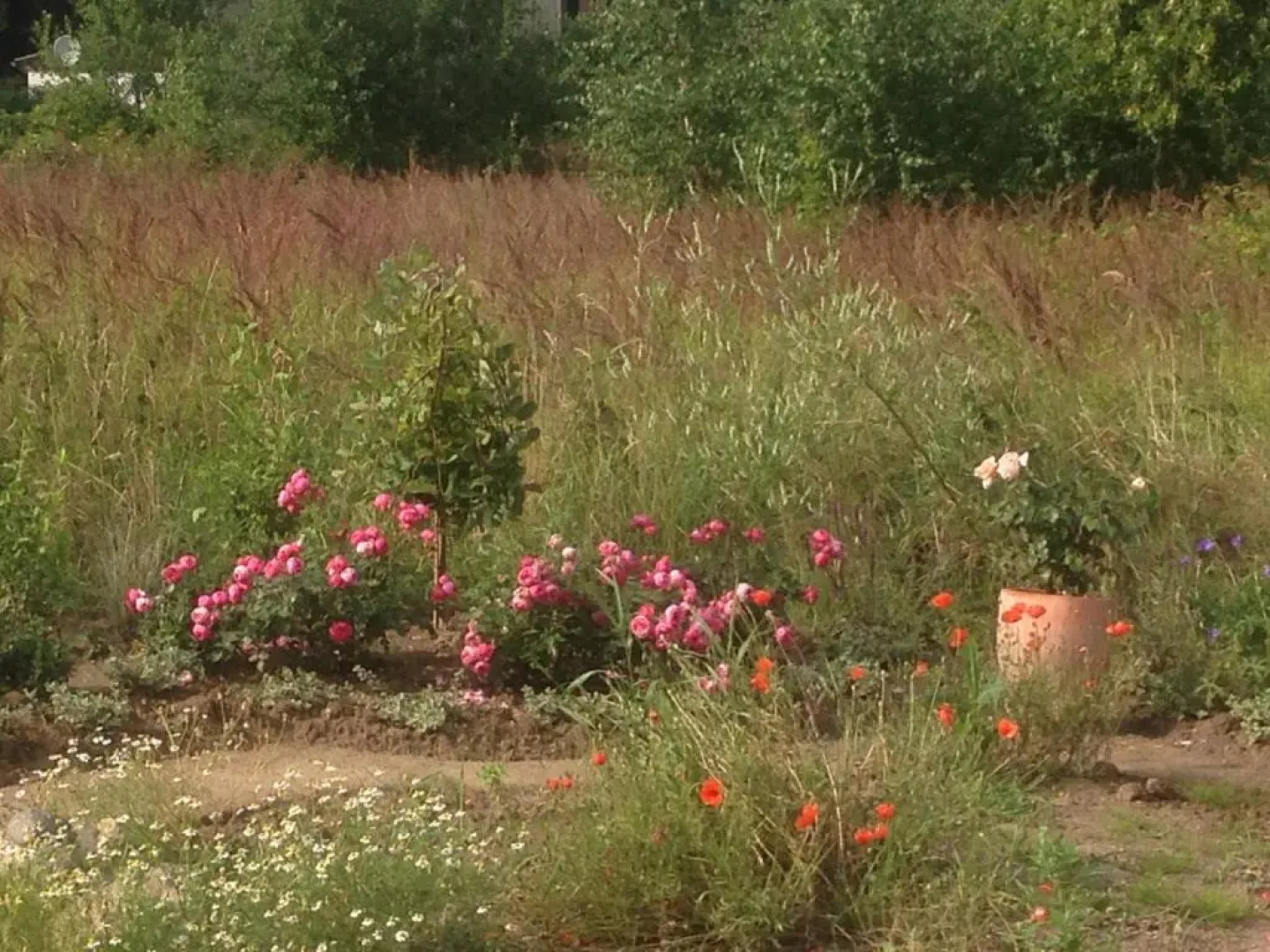 Ferienwohnung in Patzig auf Rügen