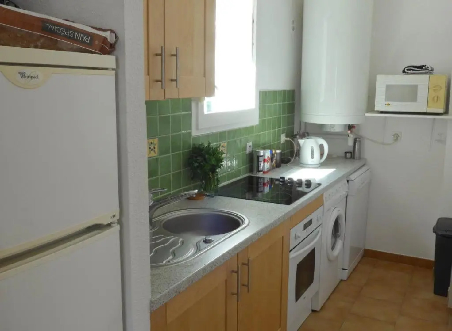 petit paradis pres ile rousse gîte les cortalines Lama