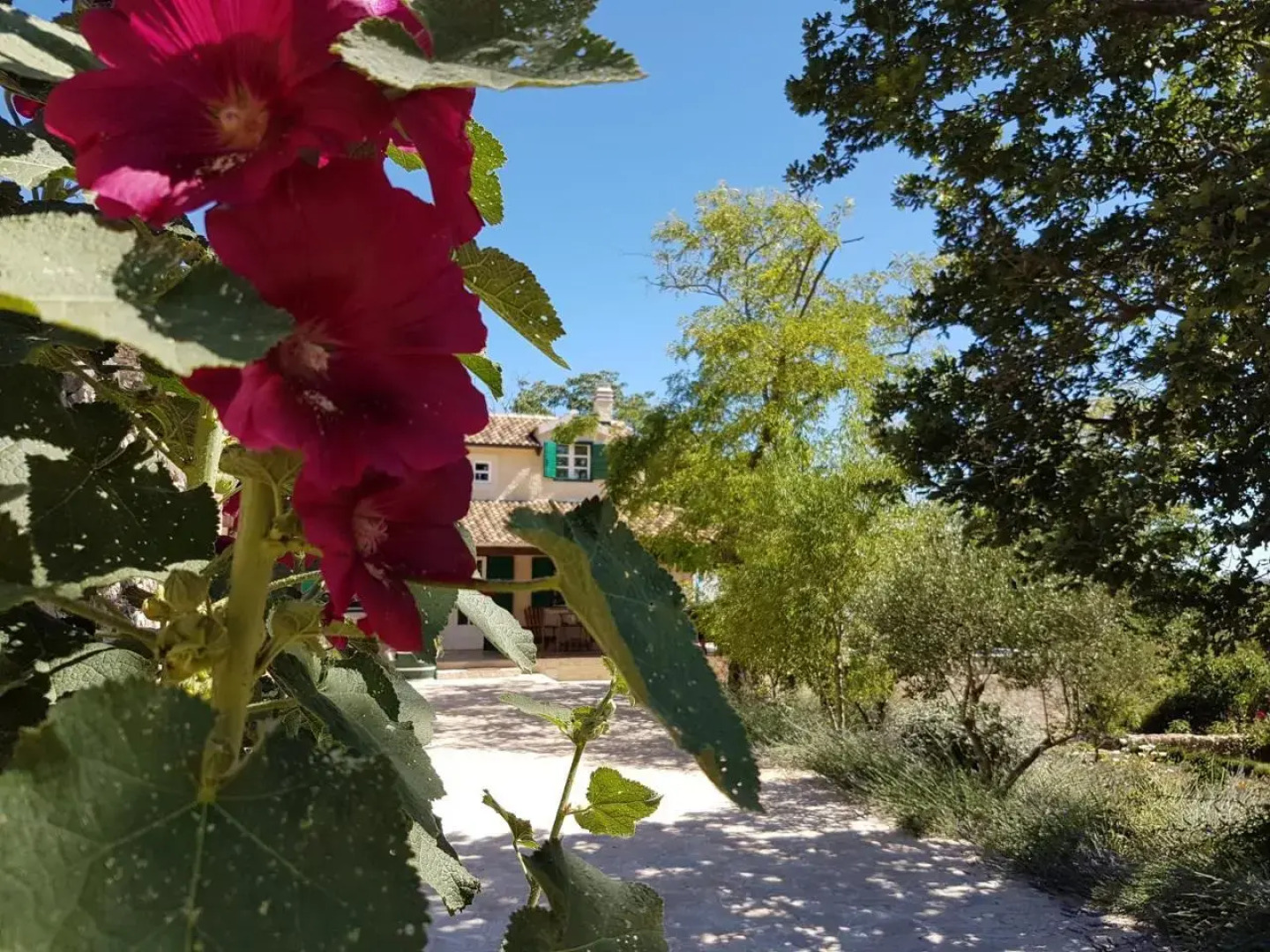 Holiday Home Dvori Dida Mile