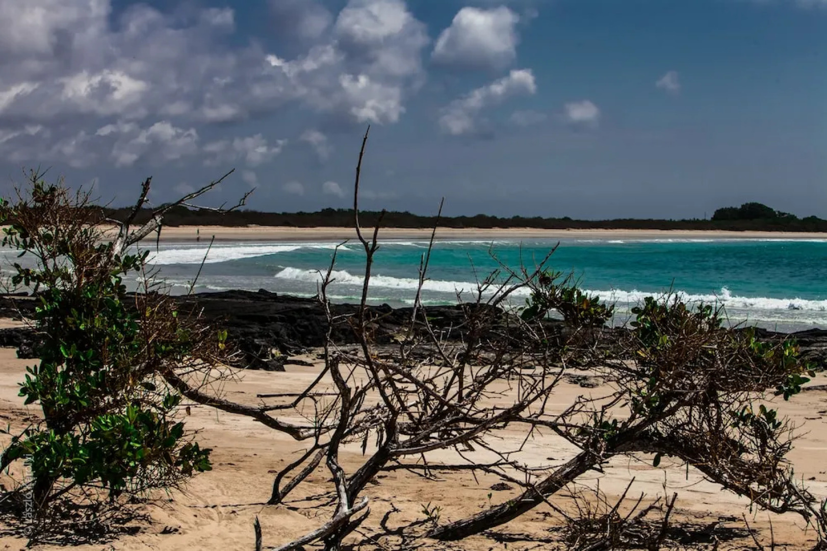 Iguana Crossing Boutique Hotel