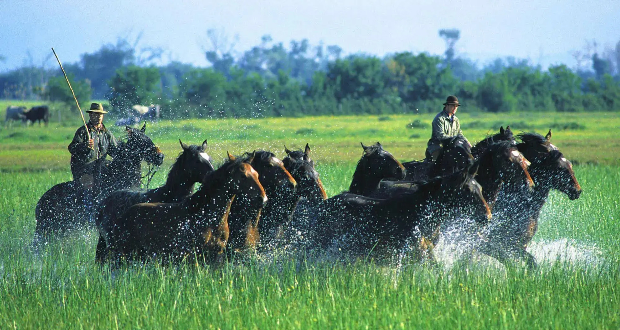 Agriturismo La pulledraia