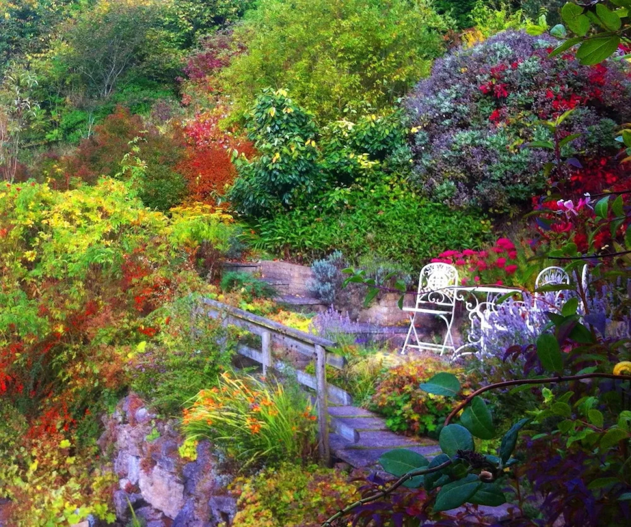 Hafan Deg Bed & Breakfast