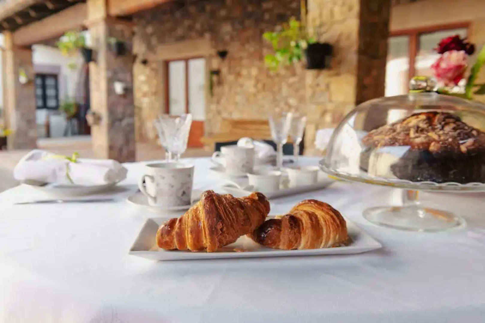 Masia Can Viver - Olive oil tourism B&B