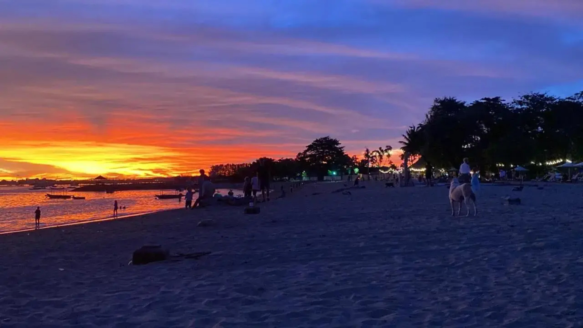 Shady Grove Healing Centre and Homestay