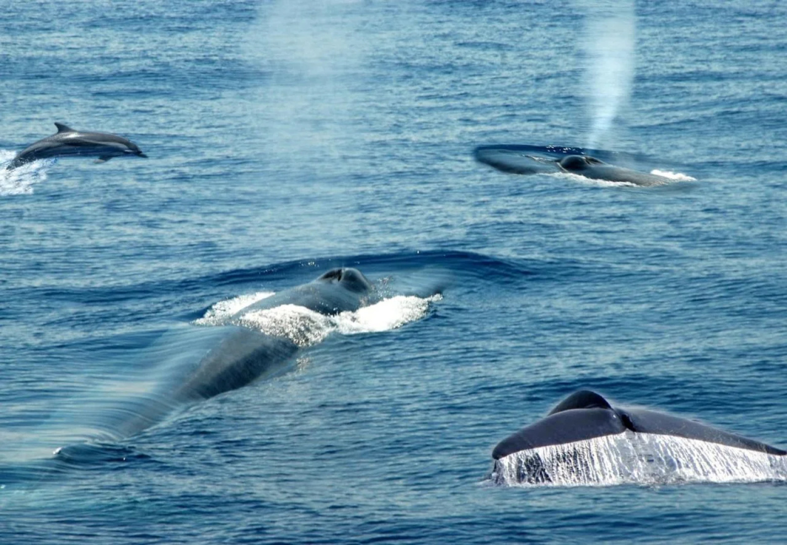 Weligama Ocean Breeze