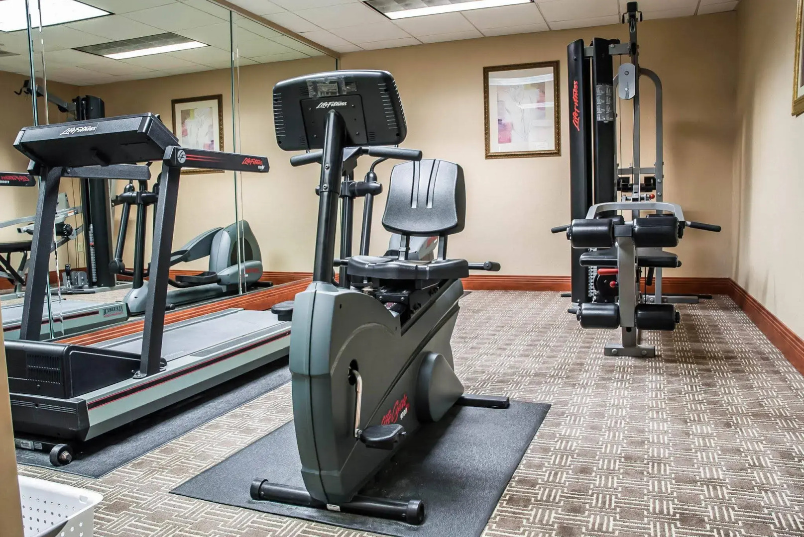 Comfort Inn Near Six Flags St. Louis