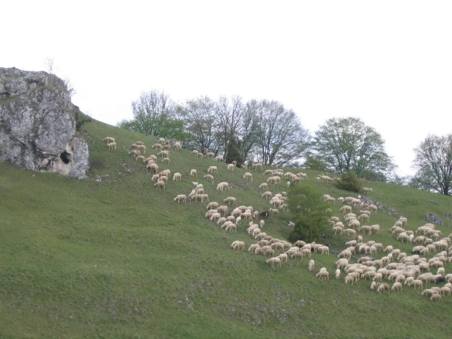 Landgasthof Sontheimer Wirtshäusle