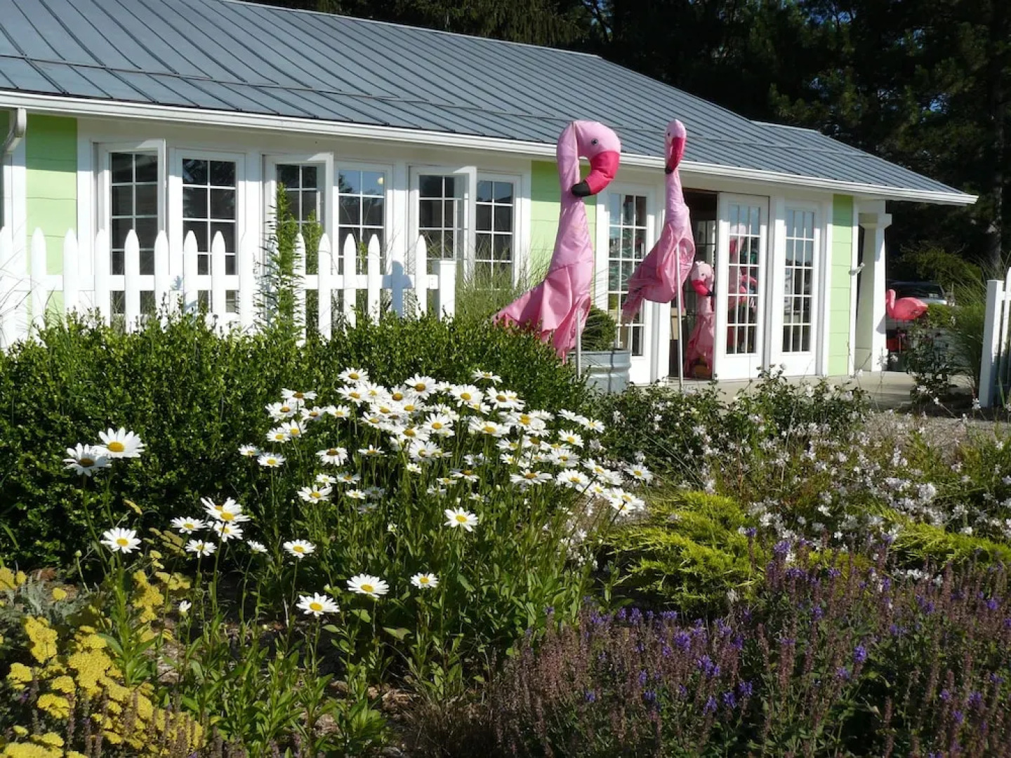 The Pines Motorlodge