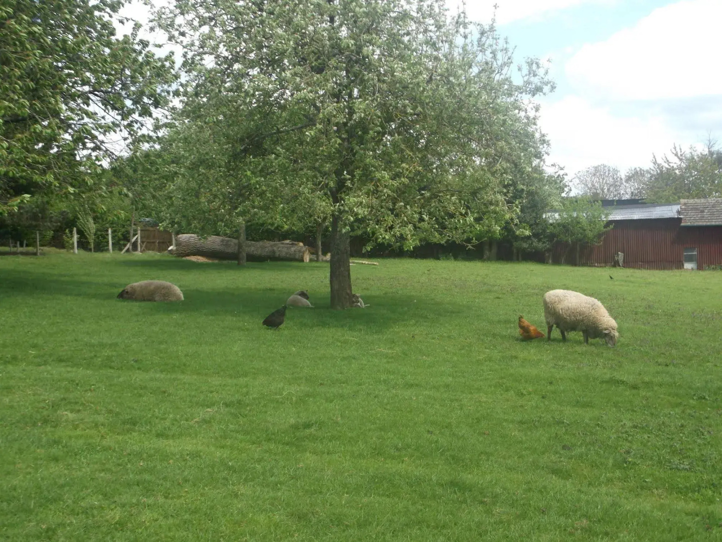 Auberge Saint Martin