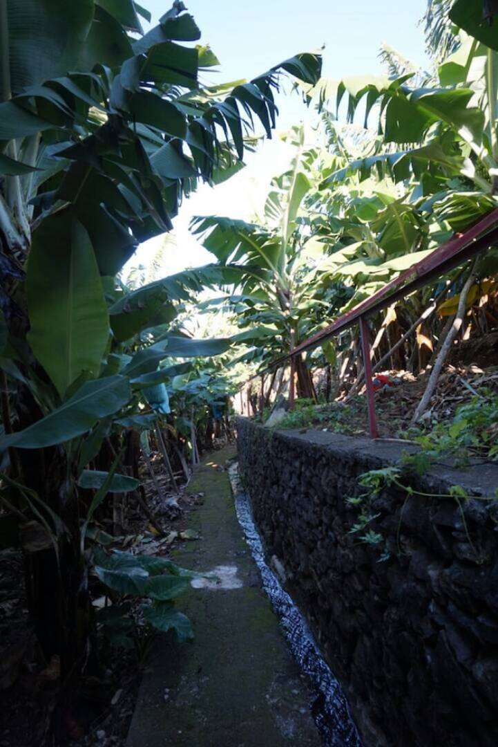 Tabua Suite - ETC Madeira