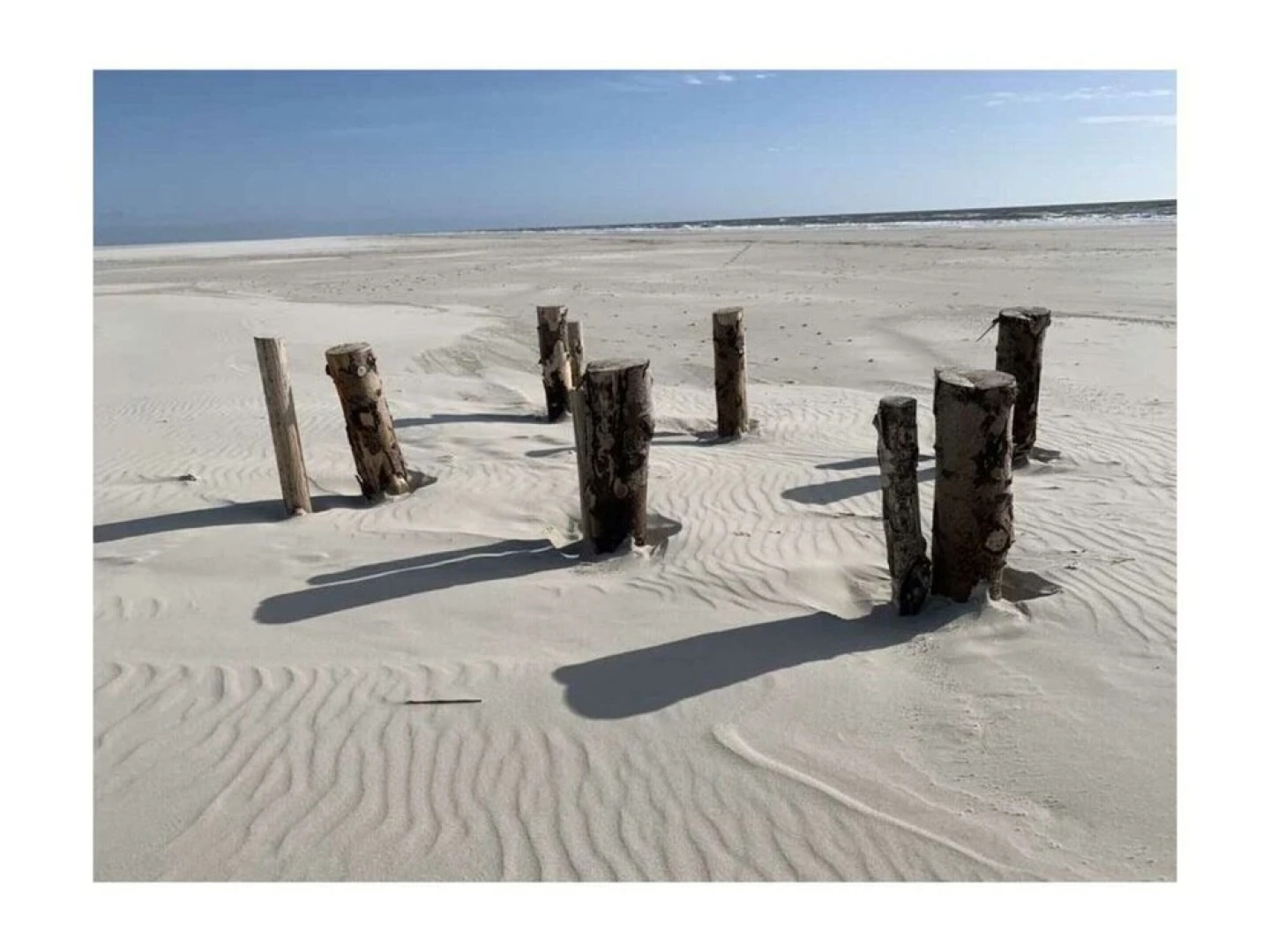 "sea Eagle" in the House on the Dune