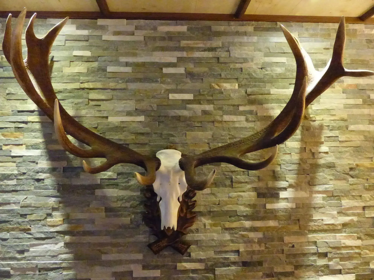 Hotel Sportalm Gipfelglück