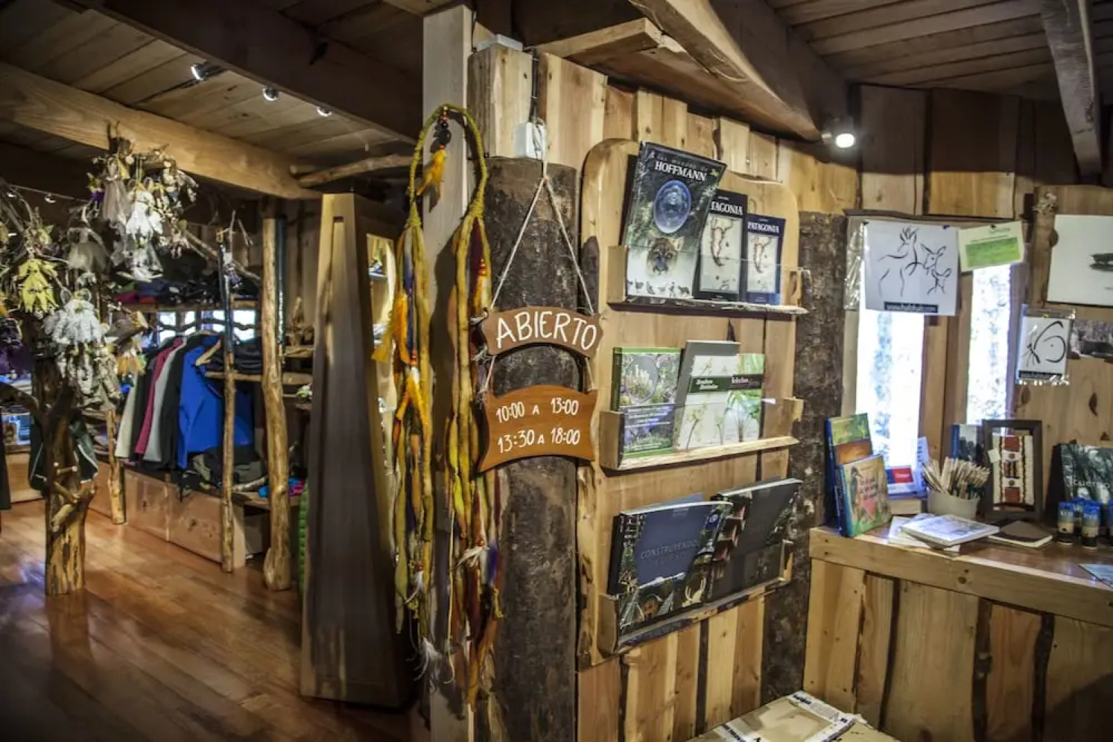 Huilo Huilo Reino Fungi