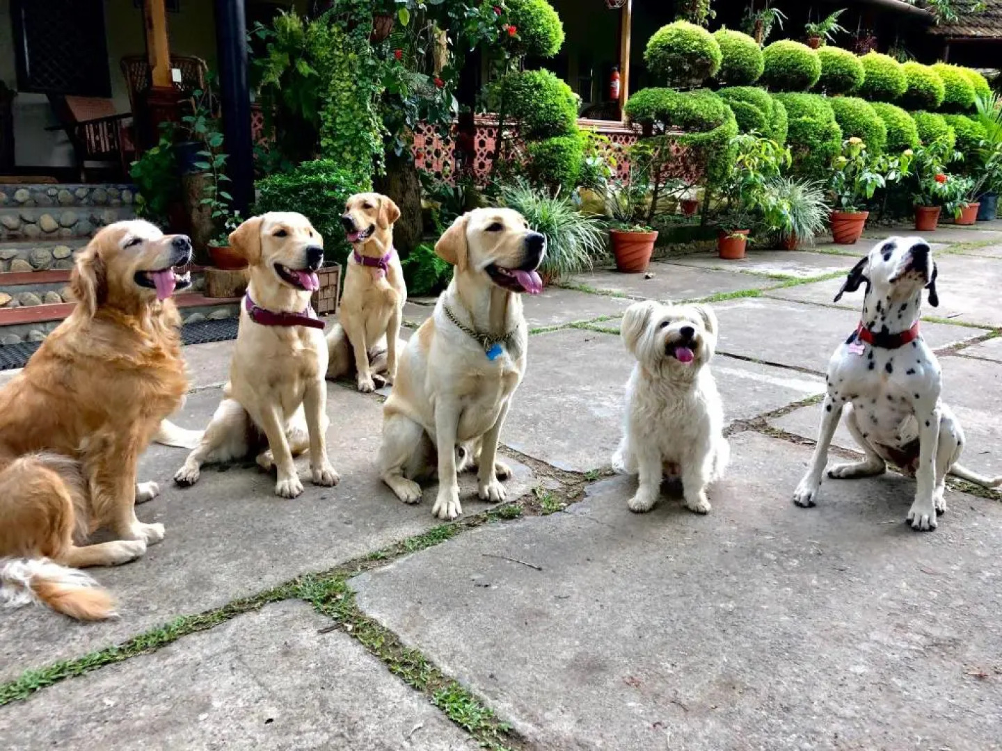 Tranquil Blusalz Rural