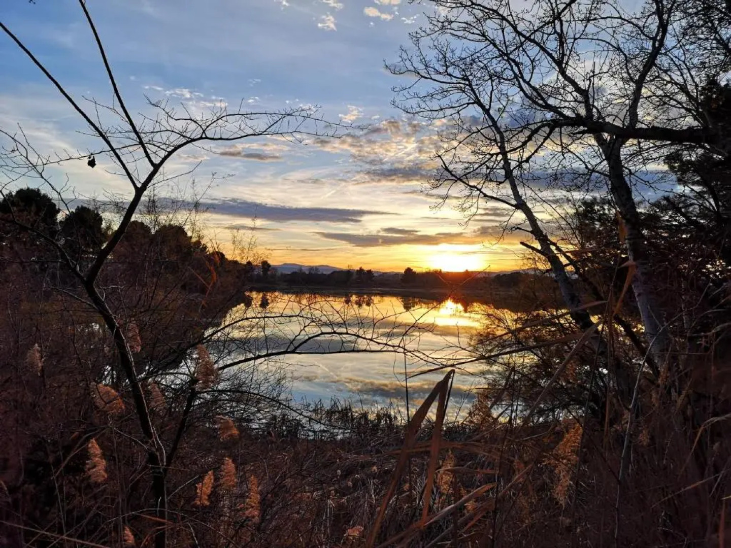Apartamento Palacio de los Toledo