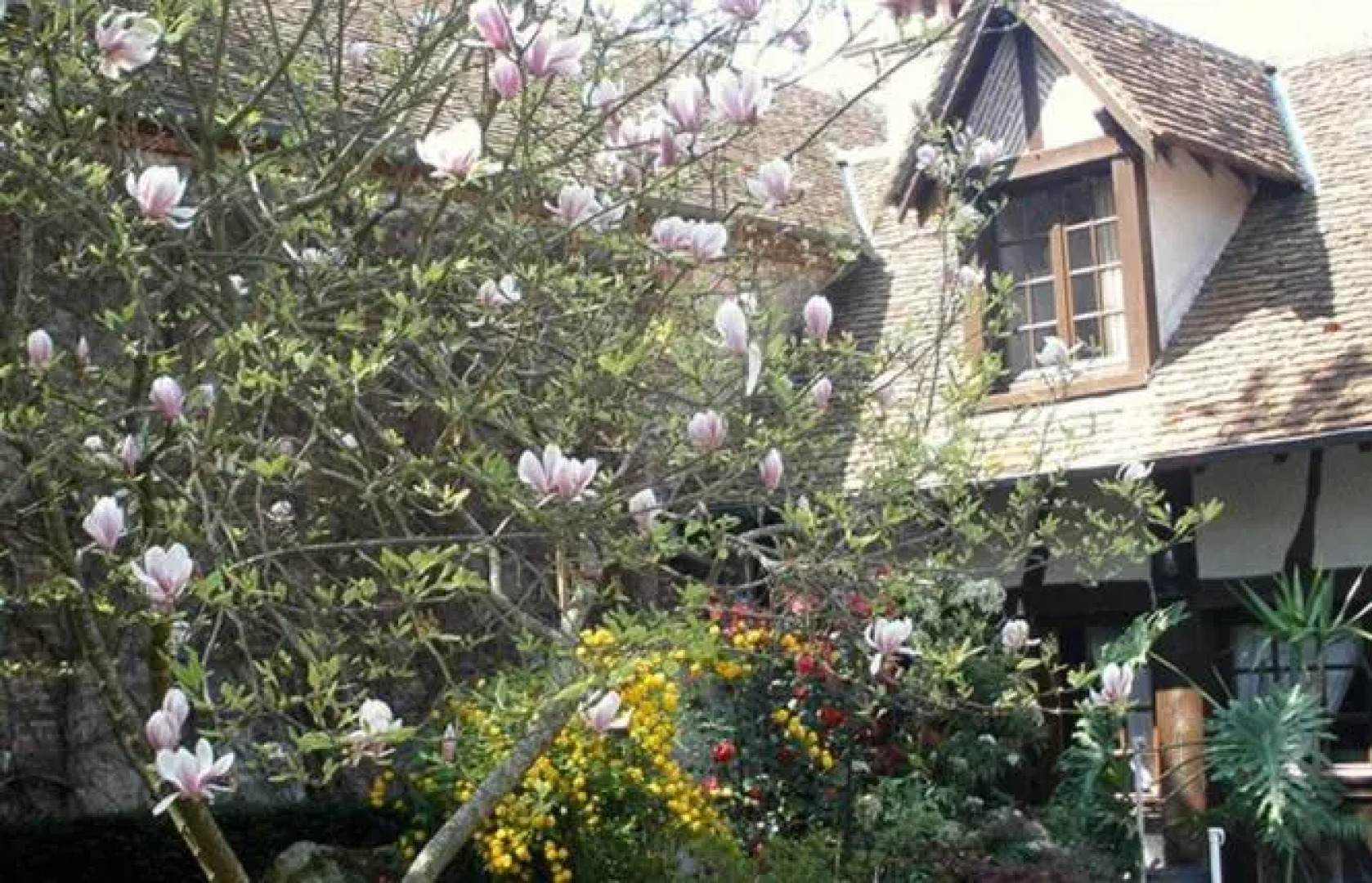 L'Auberge Du Faisan Doré