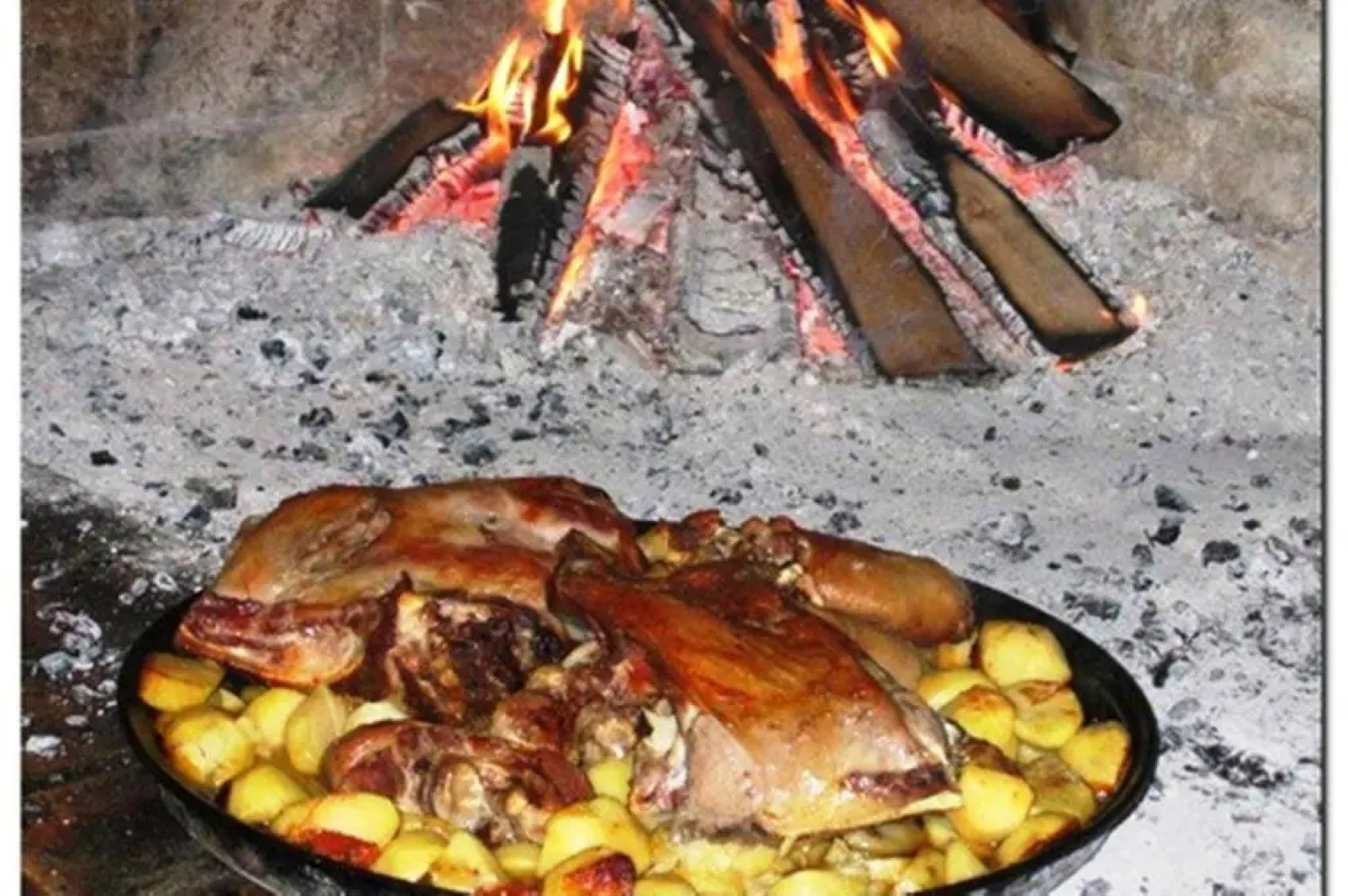 Bed and Breakfast Albatros