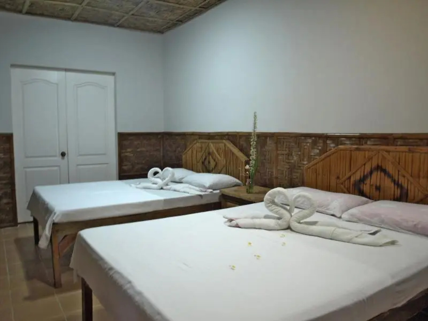 The Sharks Tail Dive Center