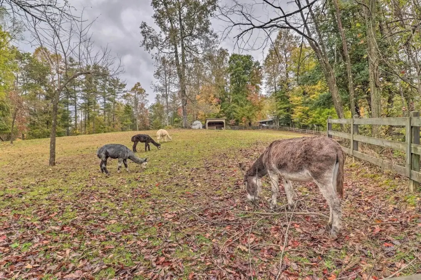 Rustic Hendersonville Farm Studio w/ Private Deck