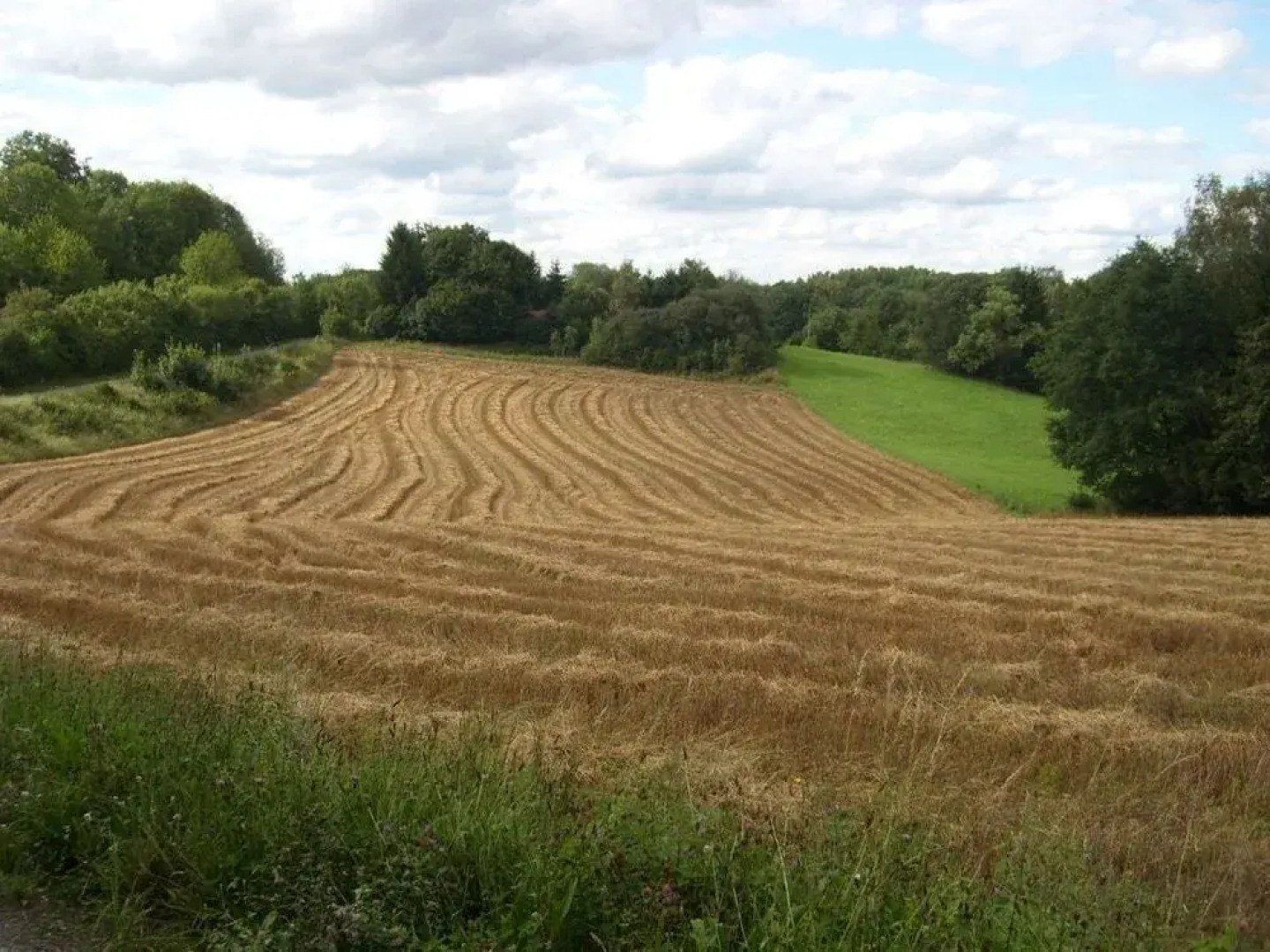 Romantik Hotel Landschloss Fasanerie