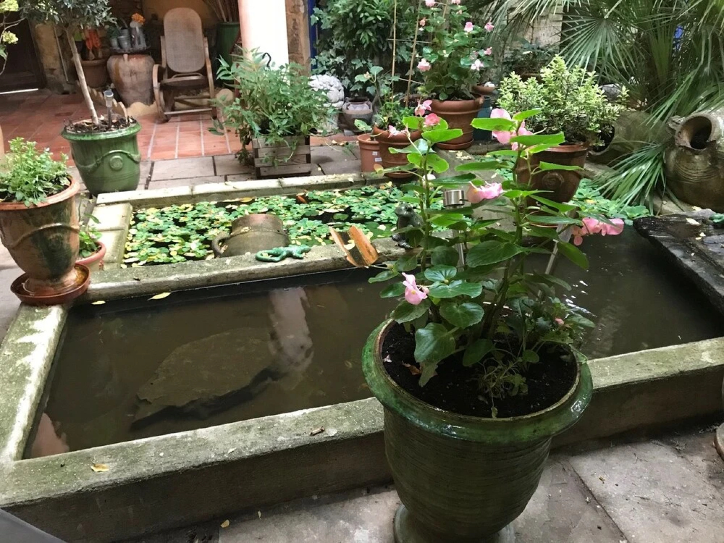 Chambre de Charme et Patio Fleuri