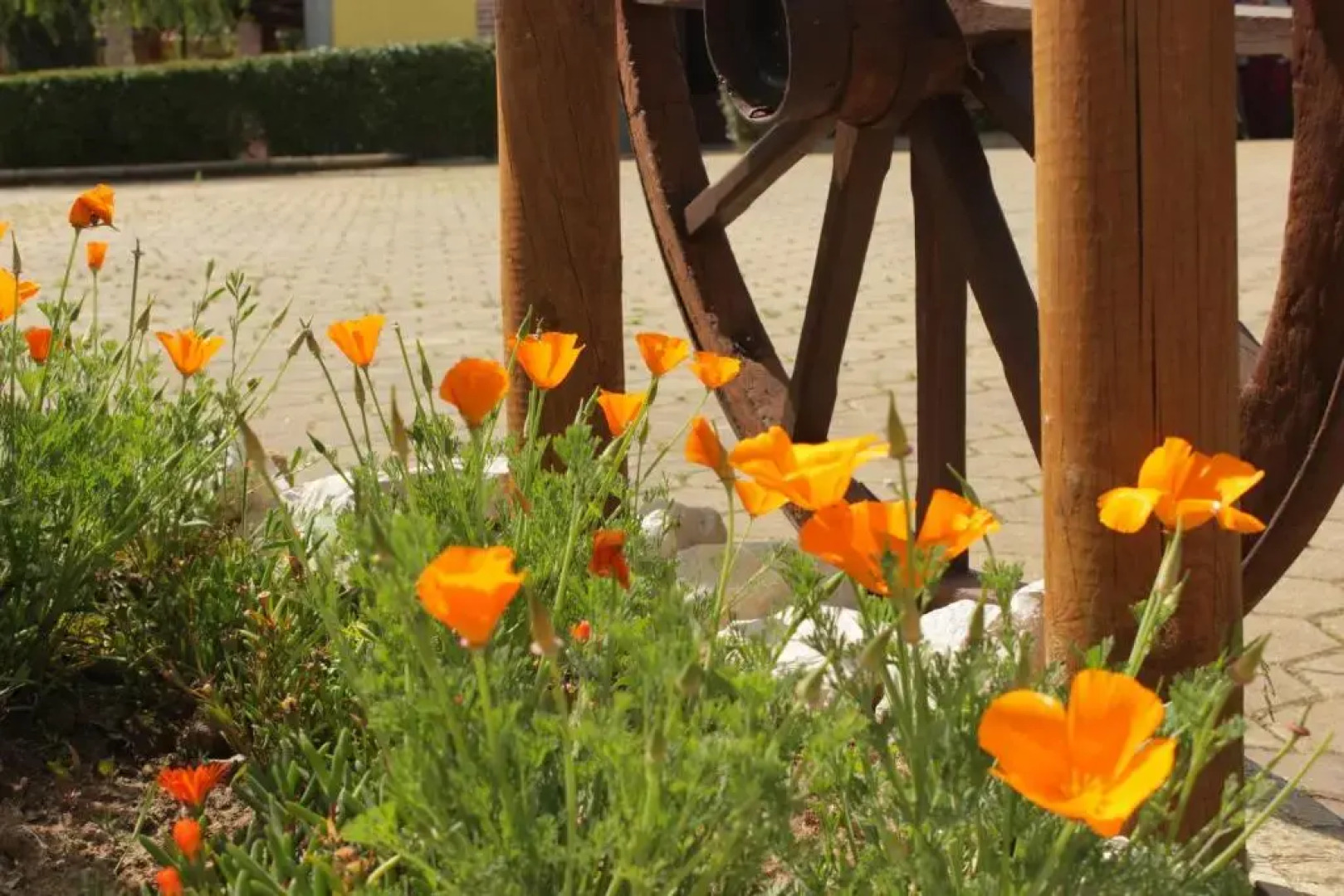 Quinta Sobral Prestige