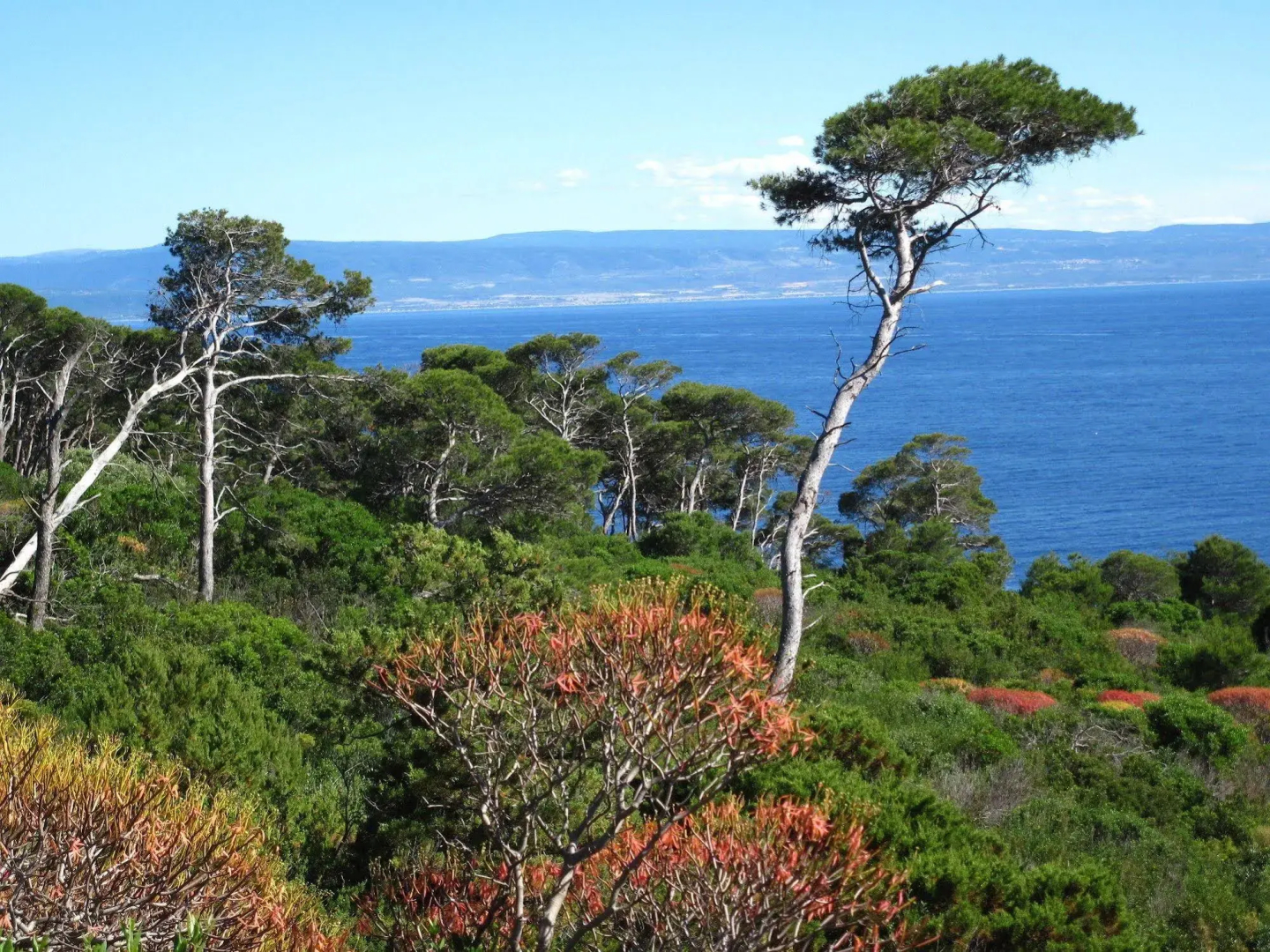 Touring Club Italiano - Isole Tremiti