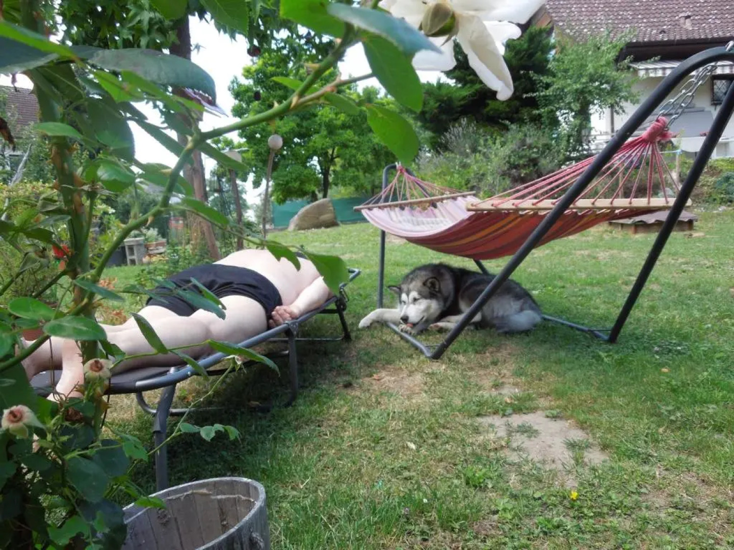 Frühstückspension Kammerer