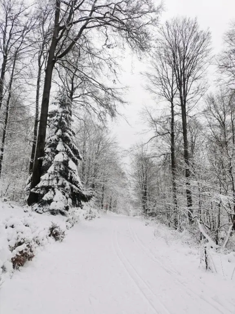 diemelseeholiday romantisches Ferienhaus im Sauerland Nähe Willingen Winterberg