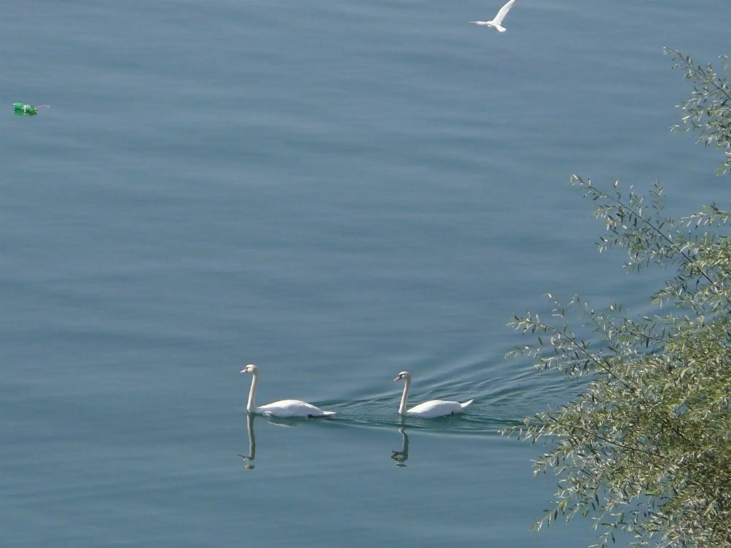 Grebnos Stonehouse Apartments